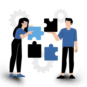 VDS Services VDS Services